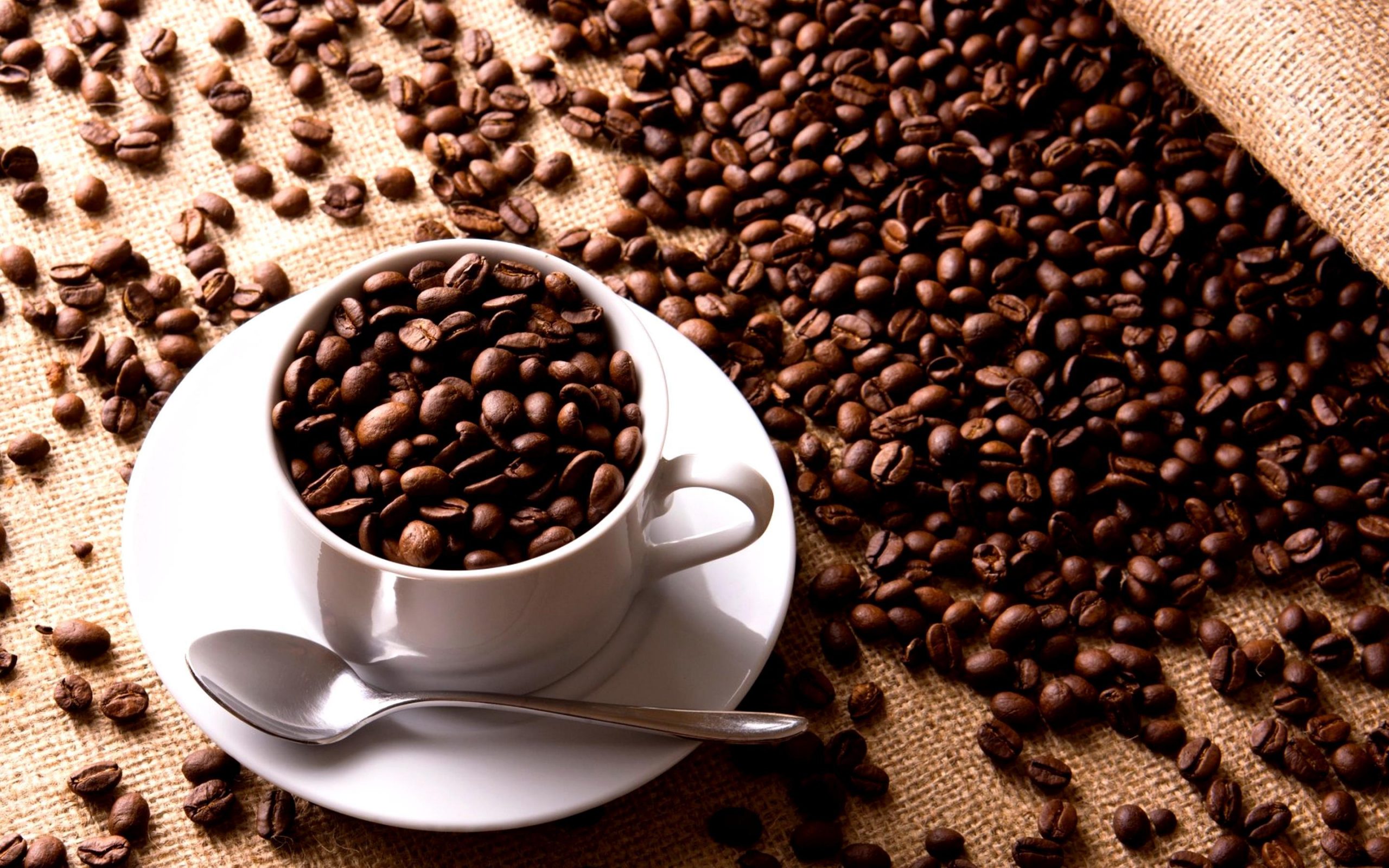 Coffee cup filled with coffee beans