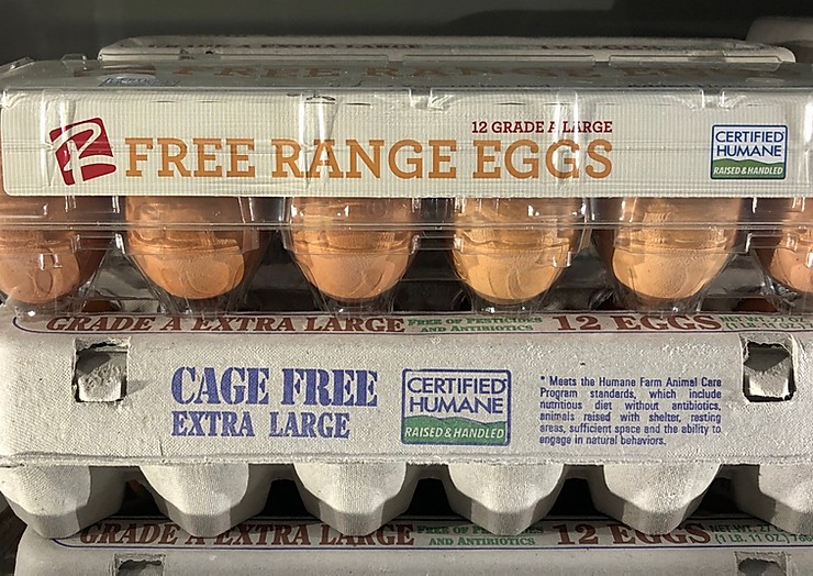 Free range eggs, agriculture