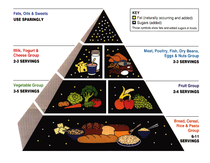 Food Pyramid 2020 Basics & Money's Influence on USDA Guidelines