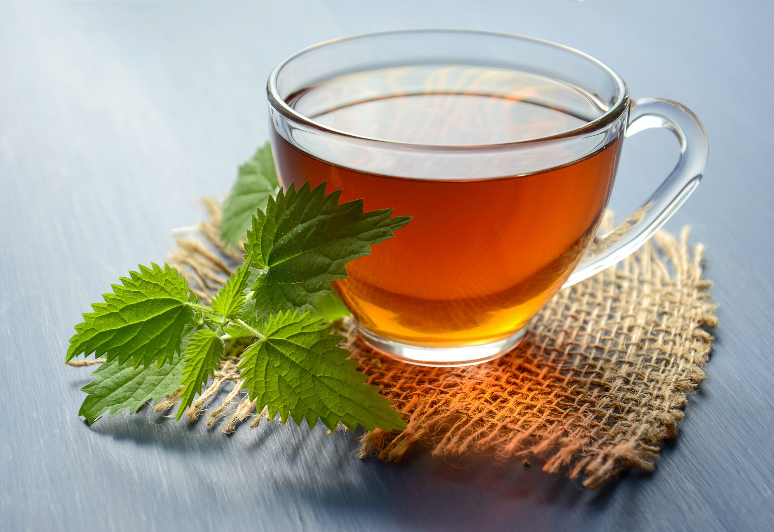 Top 9 Types of Organic Tea & Their Benefits